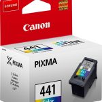 Canon 441 Color