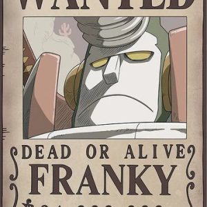 One Piece - Wanted Poster: Franky New World