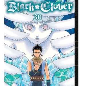 BLACK CLOVER VOL 30